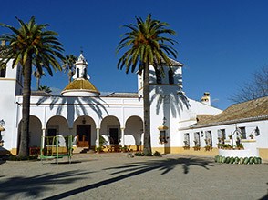 Palacio del Rey Doñana © John Muddeman